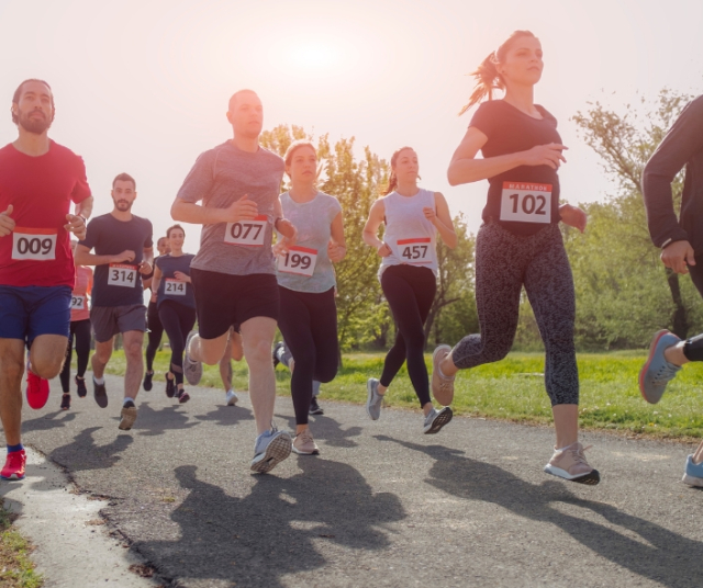 Informations complètes sur les marathons